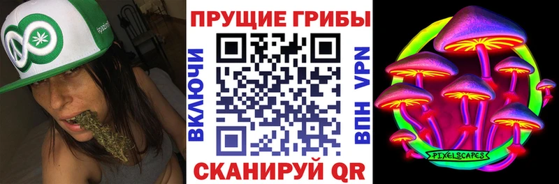 Галлюциногенные грибы мицелий  Купить где  Ухта 